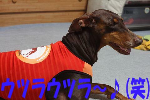 e0100007_21353196.jpg