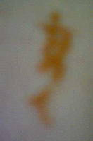 e0103408_144032.gif