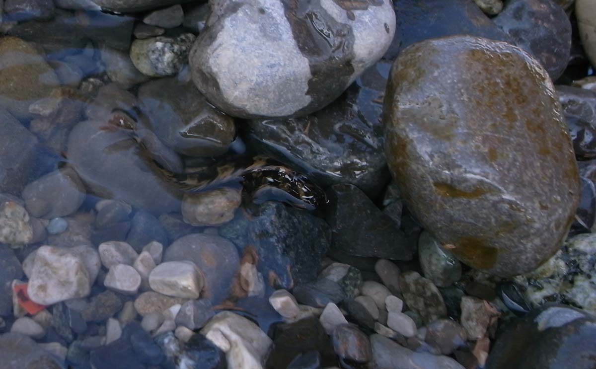 d0104210_02981.jpg