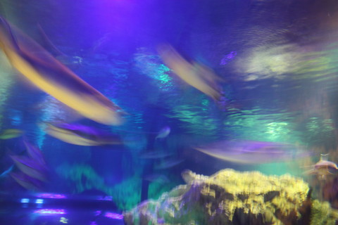 d0077811_23532847.jpg