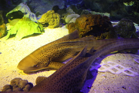 d0077811_2371458.jpg