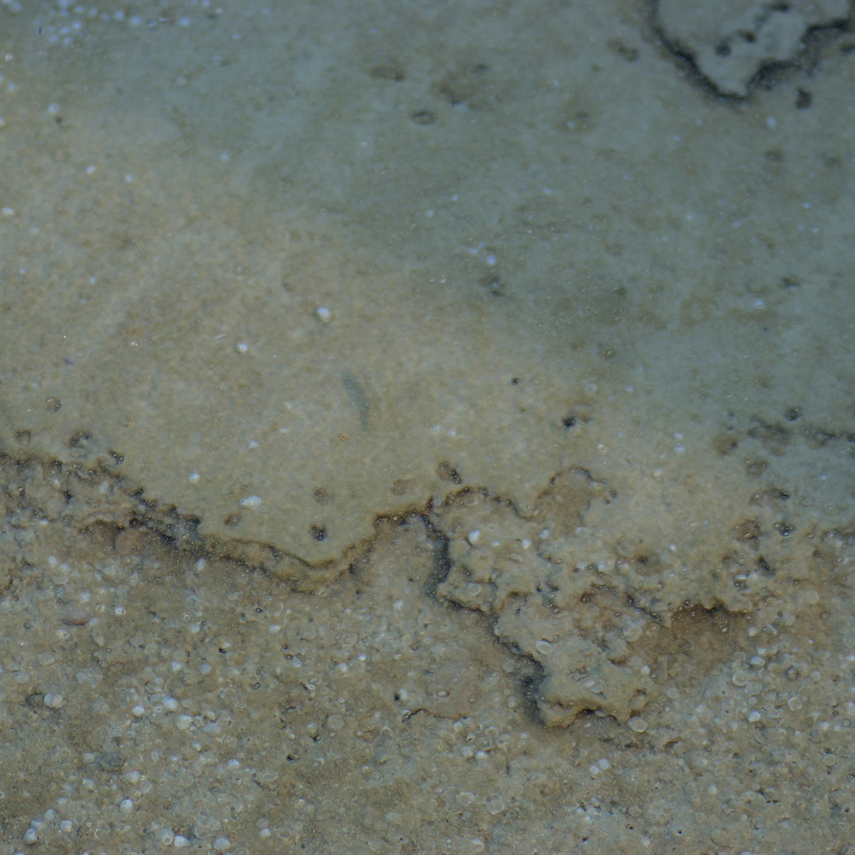 e0142611_23405864.jpg
