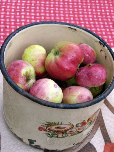 e0063212_17444231.jpg