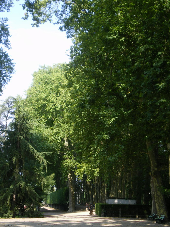 c0124619_247445.jpg