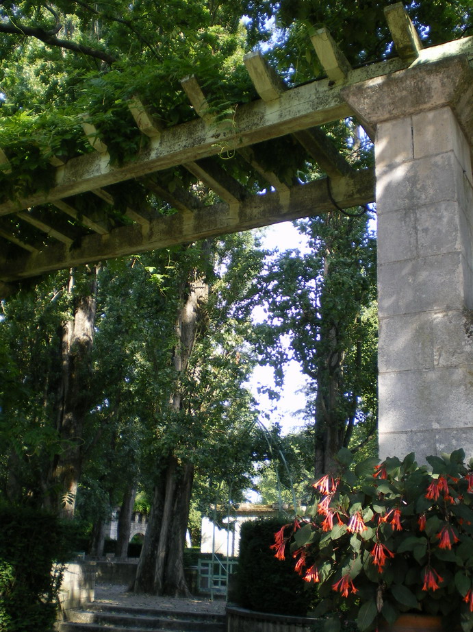 c0124619_25042.jpg