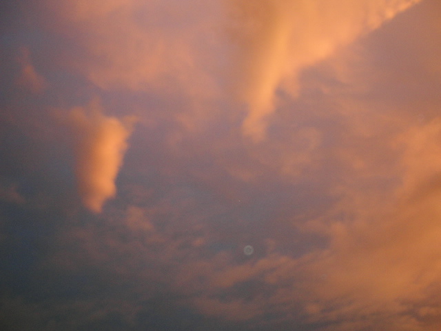 c0172620_2033544.jpg