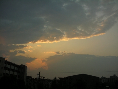 e0171120_3412661.jpg