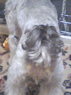 a0135425_140090.jpg