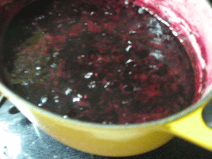 e0127526_20415686.gif
