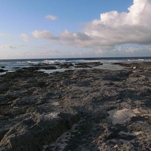 Kikai Blue_d0108333_14121486.jpg