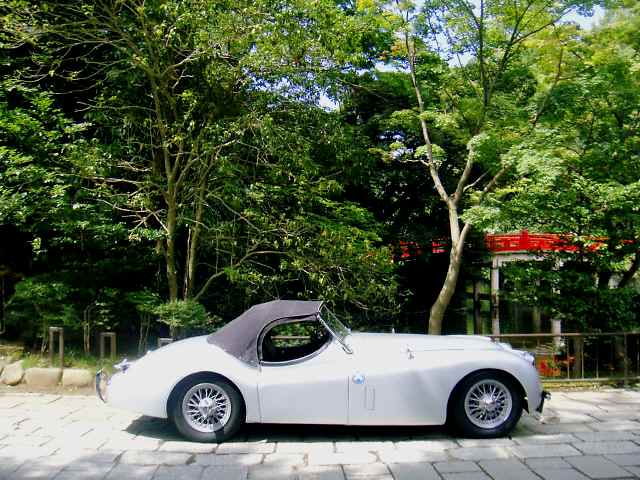 ジャガーXK120 ロードスター(1954年式)_f0056835_12223370.jpg