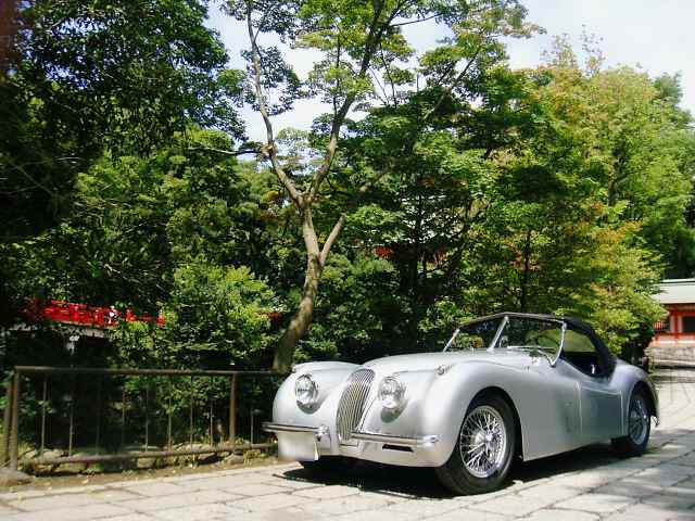 ジャガーXK120 ロードスター(1954年式)_f0056835_12315869.jpg