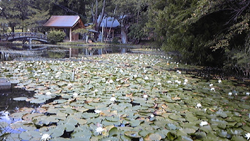 f0161535_2149409.jpg