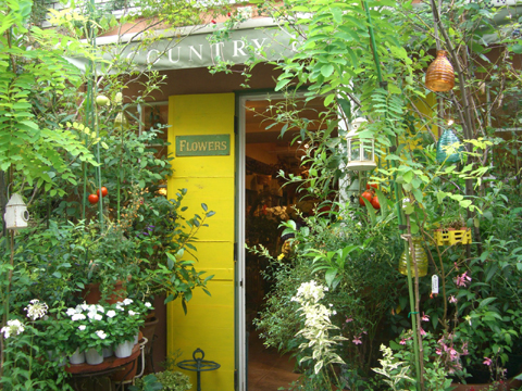 e0110940_042127.jpg
