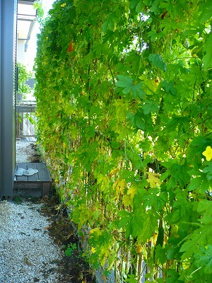 c0035843_17521190.jpg