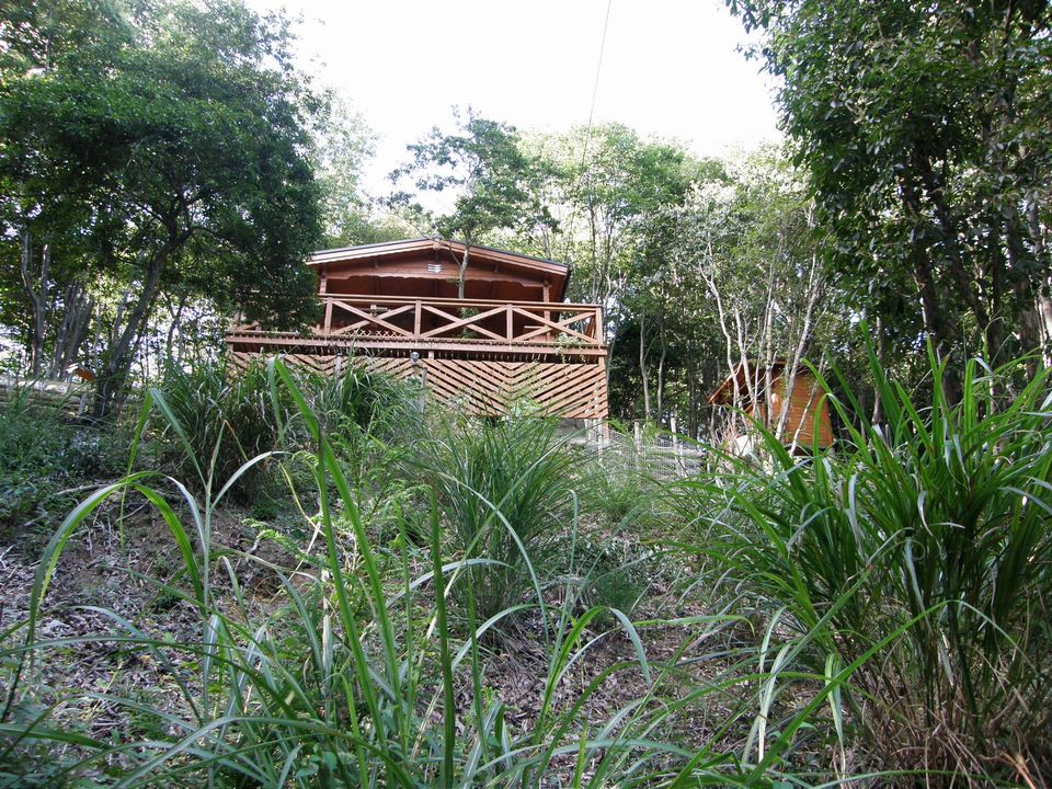 f0090444_2119341.jpg