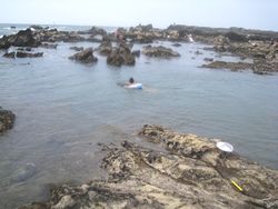 c0156548_05843.jpg
