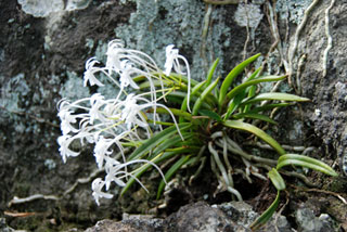 e0150250_10323114.jpg