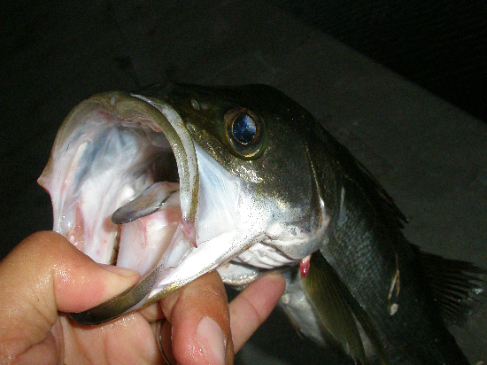 f0150151_22254314.jpg
