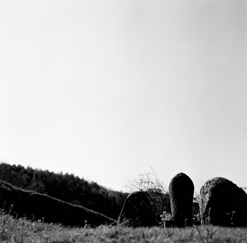 c0136759_23164777.jpg