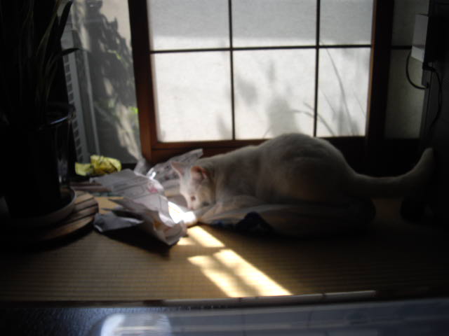 d0116059_14141343.jpg