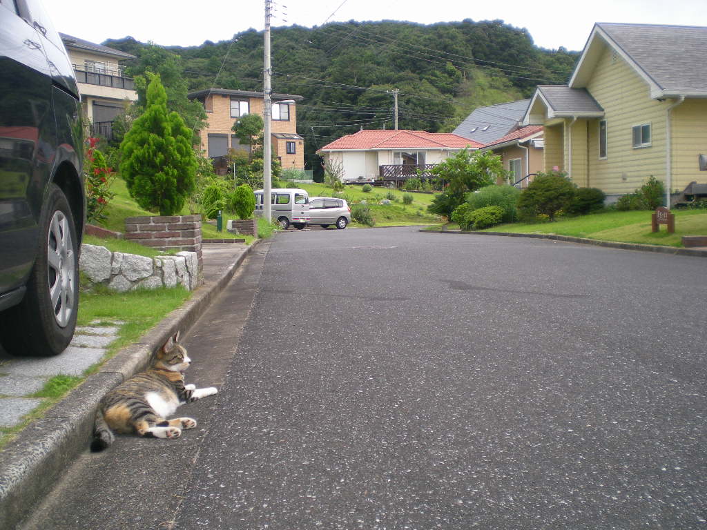 2009年8月25日酔芙蓉とワインとエリザベス!_f0060461_10535453.jpg