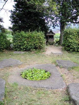 e0125762_06444.jpg