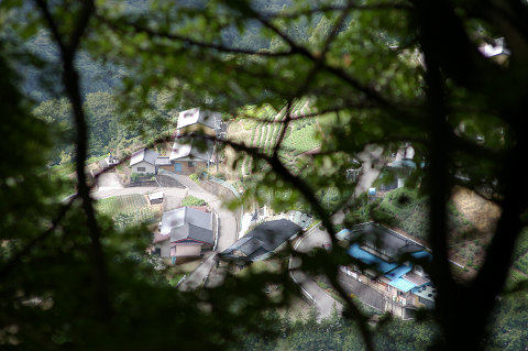 e0045768_22113672.jpg