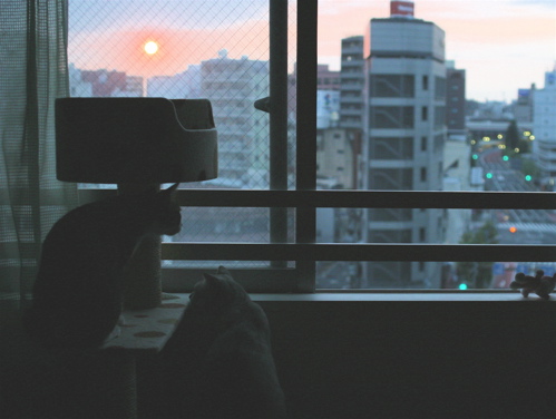 b0184969_12213619.jpg