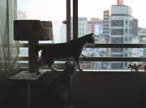 b0184969_1221563.jpg