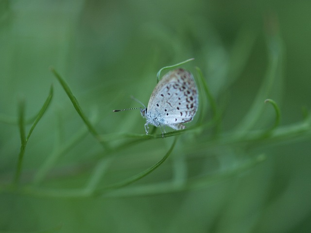 b0135573_628751.jpg