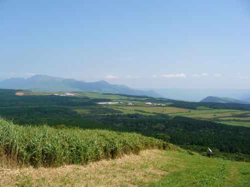 d0126573_1017525.jpg