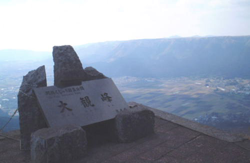 d0126573_834170.jpg