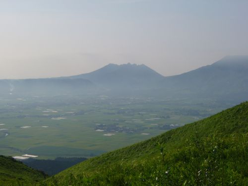 d0126573_8452182.jpg