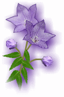 e0014678_15534953.gif