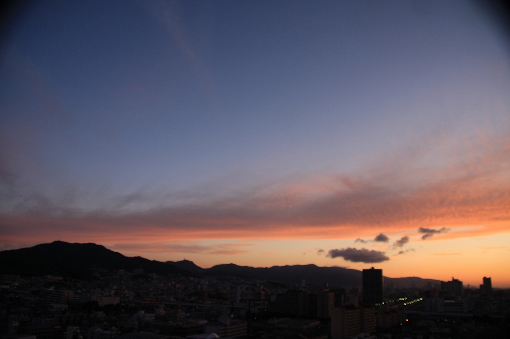 e0024081_1004145.jpg