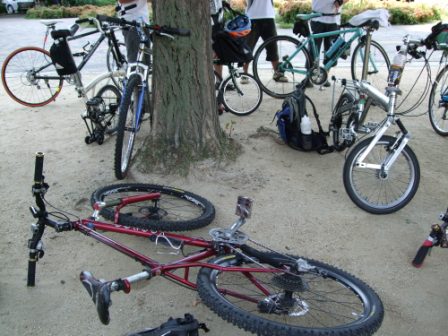 Bike Summer 2009_e0138081_9532749.jpg