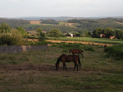 c0168283_16565544.jpg