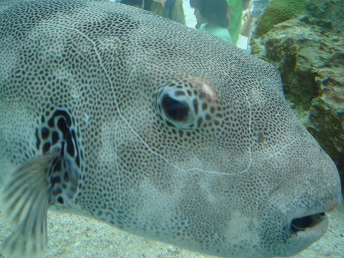 c0096685_2340169.jpg