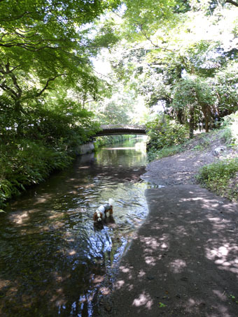 f0112087_17291855.jpg