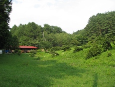 c0086188_20315145.jpg