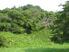 c0086188_2032912.jpg