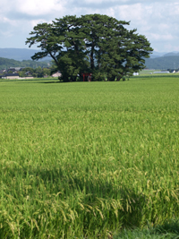 b0151189_0242798.jpg
