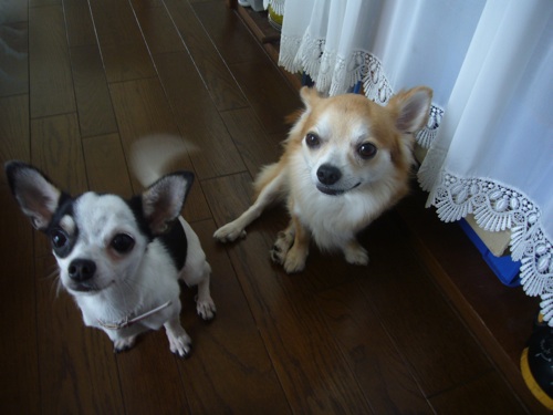 a0073390_23492651.jpg