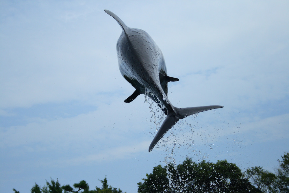 水族館_c0040891_115487.jpg