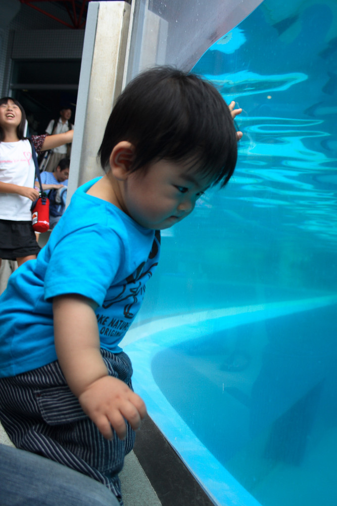 水族館_c0040891_120290.jpg