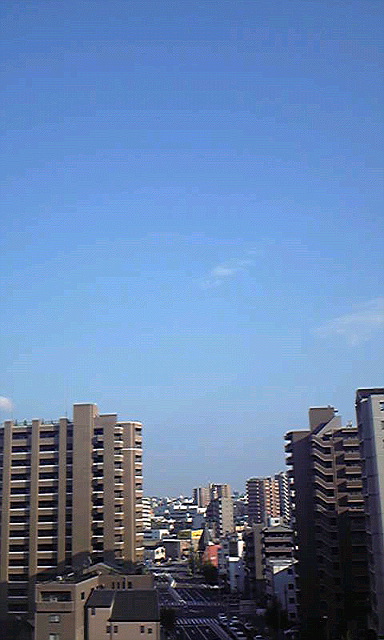 d0110991_1739037.jpg
