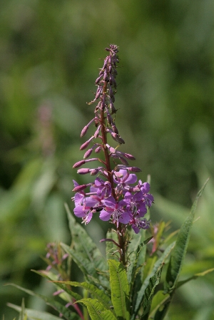 d0133693_322337.jpg
