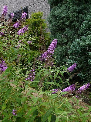 a0123003_16451875.jpg