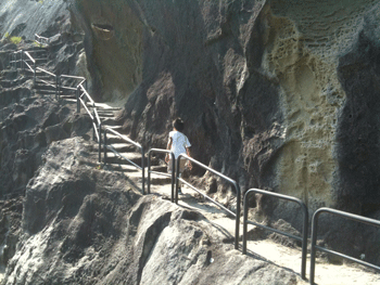 a0055913_1062740.gif